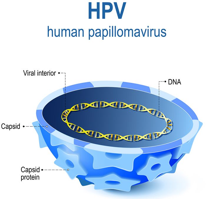 Condoms And STDs How Effective Are Condoms Against STDs?